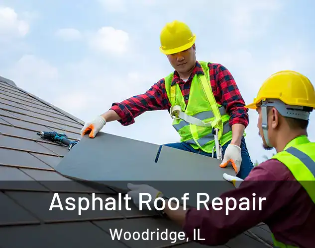  Asphalt Roof Repair Woodridge, IL