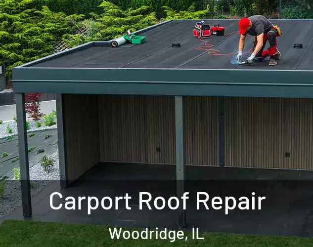  Carport Roof Repair Woodridge, IL