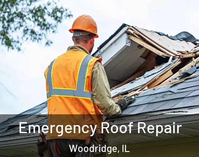  Emergency Roof Repair Woodridge, IL