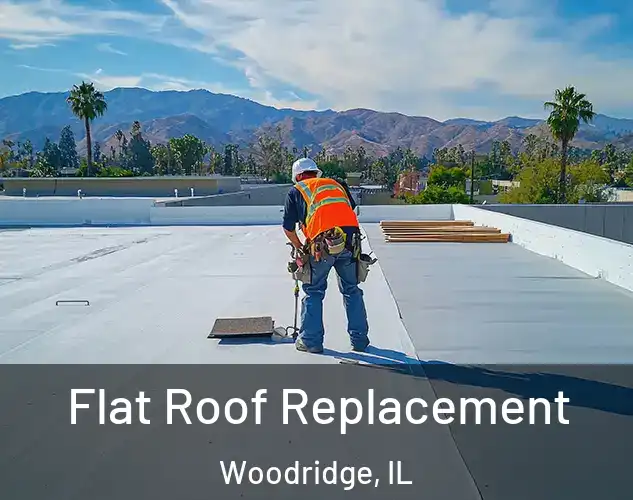  Flat Roof Replacement Woodridge, IL