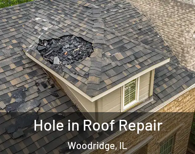  Hole in Roof Repair Woodridge, IL