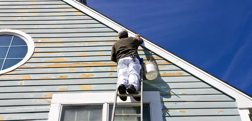 Professional Roof and Siding Repair Services in Woodridge, IL