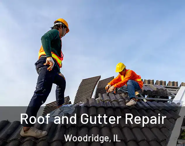  Roof and Gutter Repair Woodridge, IL