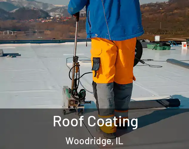 Roof Coating Woodridge, IL