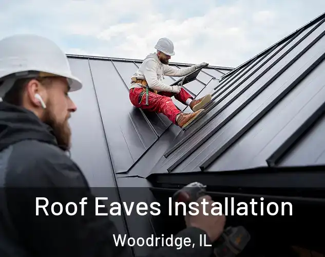  Roof Eaves Installation Woodridge, IL