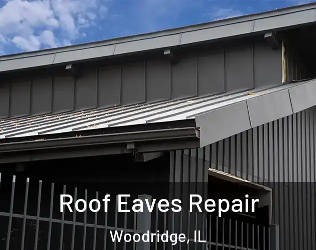  Roof Eaves Repair Woodridge, IL