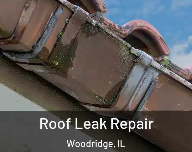  Roof Leak Repair Woodridge, IL