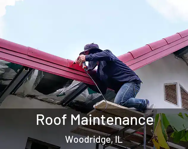  Roof Maintenance Woodridge, IL
