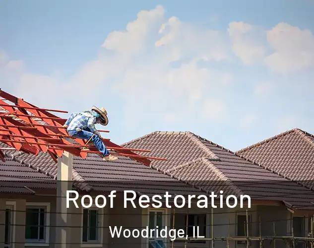  Roof Restoration Woodridge, IL
