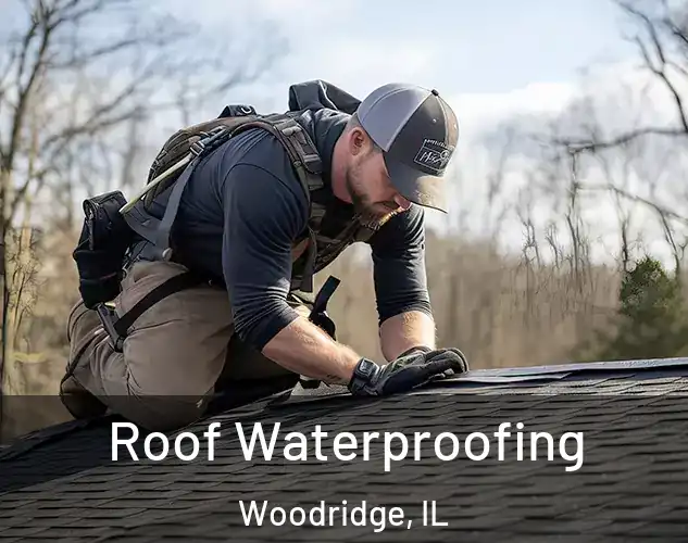  Roof Waterproofing Woodridge, IL