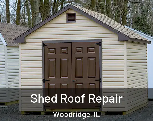  Shed Roof Repair Woodridge, IL