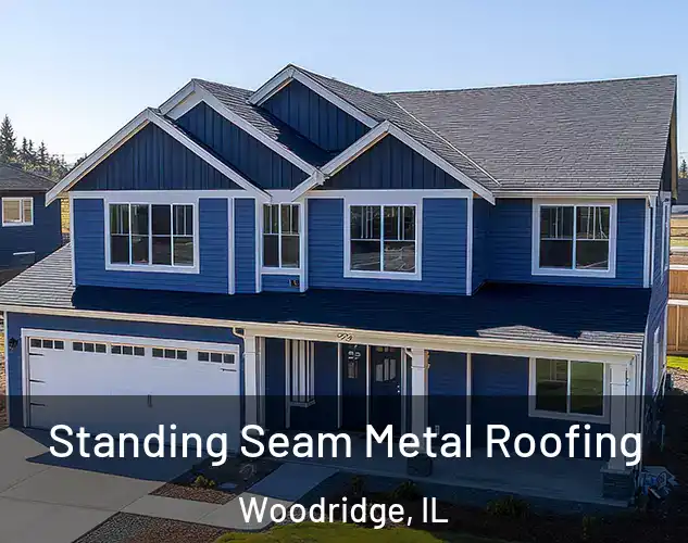  Standing Seam Metal Roofing Woodridge, IL