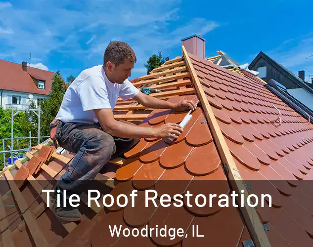  Tile Roof Restoration Woodridge, IL